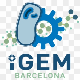 Igem Barcelona, HD Png Download - screen gems logo png