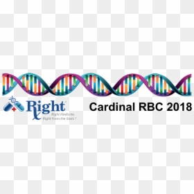 Natal Card, HD Png Download - cardinal health logo png