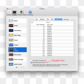Terminal, HD Png Download - scroll icon png