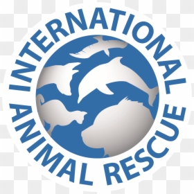 International Animal Rescue, HD Png Download - tel icon png