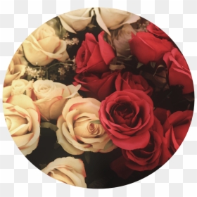 Fondo De Flores Flores, HD Png Download - red png tumblr