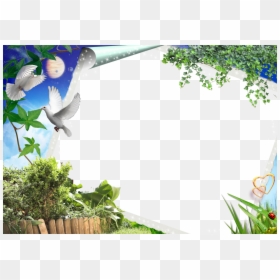 Transparent Photo Frames Png, Png Download - picture frame transparent png
