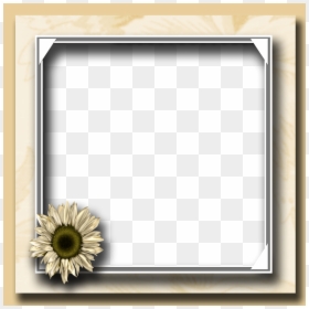 Portable Network Graphics, HD Png Download - picture frame transparent png