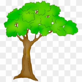 Cartoon Tree Transparent Background, HD Png Download - tree background png