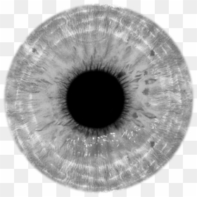 Gray Eye Lens Png, Transparent Png - white eyes png
