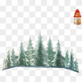 Shortleaf Black Spruce, HD Png Download - christmas tree transparent background png