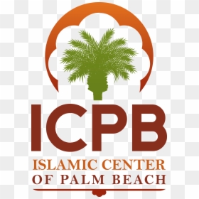 Palm Tree, HD Png Download - ramadan png