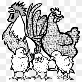 Art,livestock,fowl - Chicken Sound Clipart Black And White, HD Png Download - broiler chicken meat png