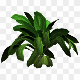 Tropical Plants Png, Transparent Png - single banana tree plant png