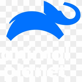 New Animal Planet Logo, Png Download - New Animal Planet Logo, Transparent Png - bindi designs png