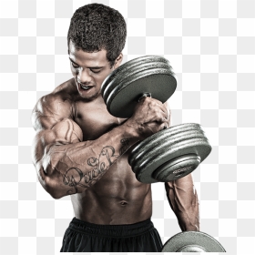 Gym Workout Imges Png , Png Download - Gym Workout Images Png, Transparent Png - gym workout png