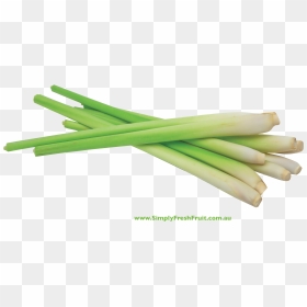 Transparent Lemongrass Png, Png Download - grass top view png