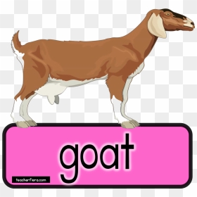 Goat Clipart Bakri - Goat Clip Art, HD Png Download - bakra png