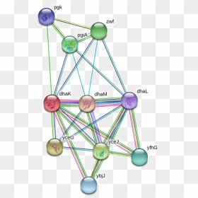 Dhak Protein - Circle, HD Png Download - dhak png