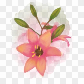 Gambar Bunga Cat Air, HD Png Download - flower boke png