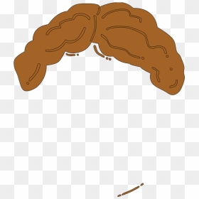 Light Brown Guy Wig Svg Clip Arts, HD Png Download - hair wigs for men png