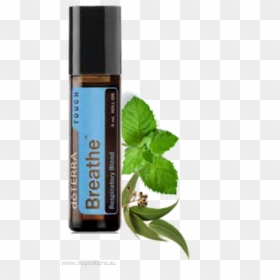 Doterra Breathe Touch Roller Bottle Pre Diluted - Doterra Breathe Touch Roll, HD Png Download - doterra png