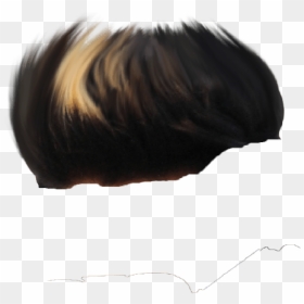 Taukeer Editz Hair Png, Transparent Png - hair png for photoshop