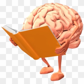 Animated Brain Png Image Background - Brain Reading A Book, Transparent Png - brain png images