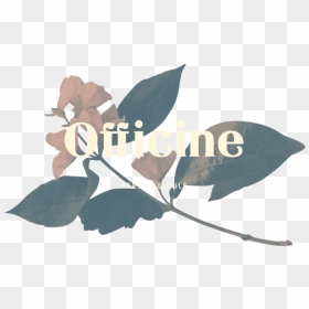 Officine Welcome 15 - Portable Network Graphics, HD Png Download - welcome flower png