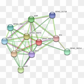 Ofag 00074 Protein - Circle, HD Png Download - pheta png