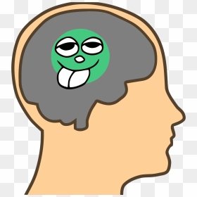 Pea-sized Brain - Animated Brain In Head, HD Png Download - brain png images