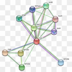 Rluc Protein - Circle, HD Png Download - pheta png