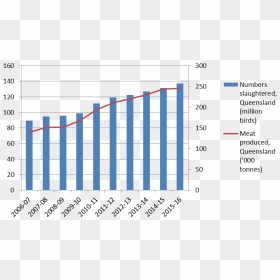 Chicken Meat Production In Australia, HD Png Download - broiler chicken meat png