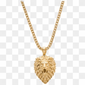 Gold Lion Necklace, HD Png Download - jewellery chain png