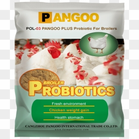 Poultry Probiotics For Broiler - Probiotics For Poultry, HD Png Download - broiler chicken meat png