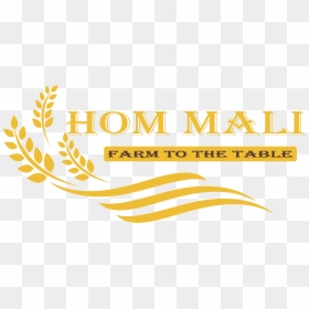 Graphic Design, HD Png Download - flower malai photos png