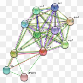 Lyss Protein - Circle, HD Png Download - pheta png