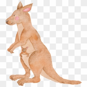 Hand Painted Kangaroo Transparent Animal Png - Australian Animals Watercolor Png, Png Download - animal png images