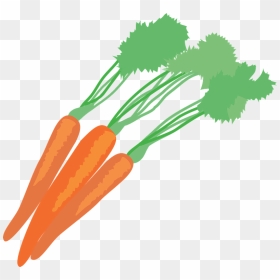 Carrot Vegetable Food Clipart - Carrot, HD Png Download - carrot vegetable png