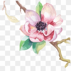 S - Chinese Magnolia, HD Png Download - welcome flower png