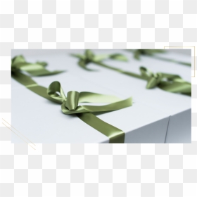 Weddings - Gift Wrapping, HD Png Download - wedding ribbon png
