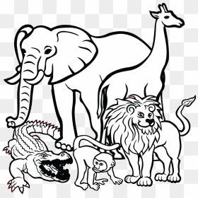 Free Clipart Of African Animals - Wild Animals Colouring Pages, HD Png Download - animal png images