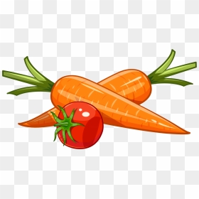 Drawing Vegetable Carrot - Carrot And Tomato Drawing, HD Png Download - carrot vegetable png