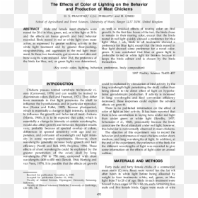 Document, HD Png Download - png light effects green