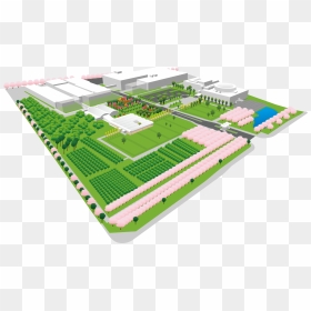 Plan, HD Png Download - grass top view png
