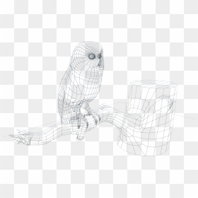 3dmarkers Sova Frame - Сова 3d Model, HD Png Download - 3d frame png