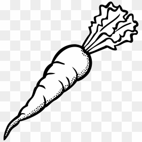 Black And White Carrots, HD Png Download - carrot vegetable png