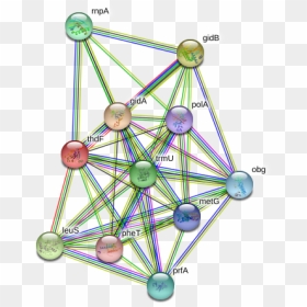 Thdf Protein - Circle, HD Png Download - pheta png