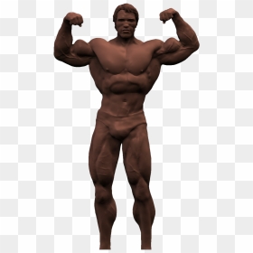 Arnold Schwarzenegger Bodybuilding Png High Quality - Arnold Schwarzenegger Transparent Background, Png Download - body building png