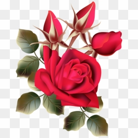 Image Du Blog Zezete2 - Hd Flower Rose, HD Png Download - rose flowers png images