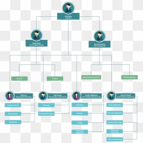 Org Chart For Departments - Hotel Business Process Flow Chart, HD Png Download - graph png transparent