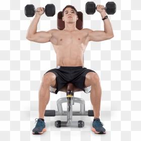 Biceps Curl, HD Png Download - body building png