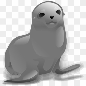 Seal Animal Png - Seal Clip Art, Transparent Png - animal png images