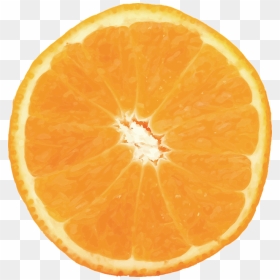 Orange, Vector, Fruit, Citrus, Food, Valencia - Oranges Fruit Background Transparent, HD Png Download - orange png images