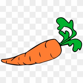 Carrot Auglis Vegetable Clip Art - Carrot Clipart, HD Png Download - carrot vegetable png